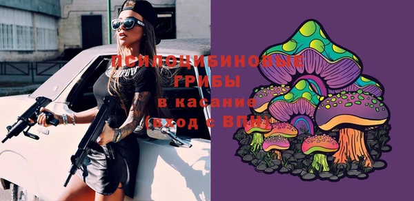 бошки Алзамай
