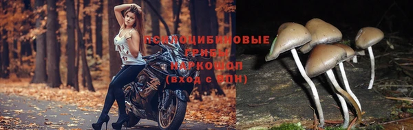 круглые Алексеевка
