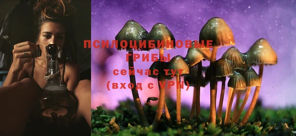 круглые Алексеевка
